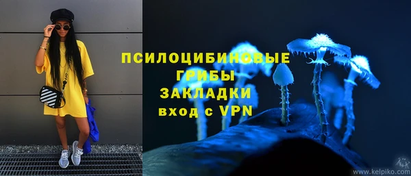мет Вяземский